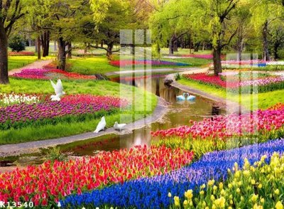 File ảnh File gốc in tranh tổng hợp K13540 (gốc) in Hiflex