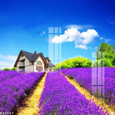 File gốc File gốc in tranh tổng hợp K13557 (thiết kế) cho in ấn