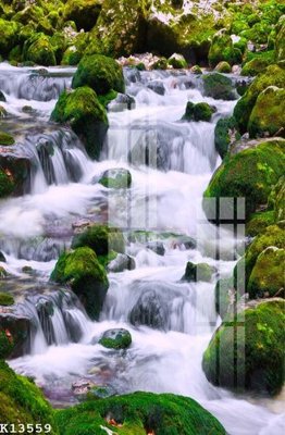 File tranh File gốc in tranh tổng hợp K13559 (gốc) chủ đề con người