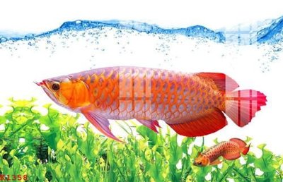 File gốc File gốc in tranh tổng hợp K1358 (in ấn) không giới hạn