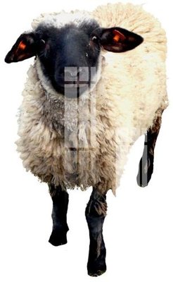 File gốc File gốc in tranh tổng hợp K13650 (AI/EPS) cho in ấn