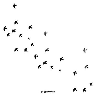 File in trần File gốc in tranh tổng hợp K13654 (bản gốc) hoa văn