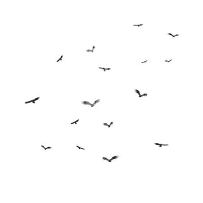 File ảnh File gốc in tranh tổng hợp K13660 (gốc) dùng in Pano