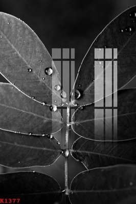 File gốc File gốc in tranh tổng hợp K1377 (phong cách) tối giản