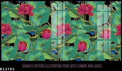 File in trần File gốc in tranh tổng hợp K13783 (bản gốc) trời sao