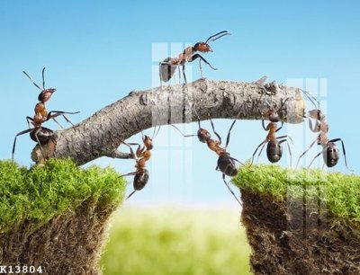 File ảnh gốc File gốc in tranh tổng hợp K13804 (chuyên in mica)