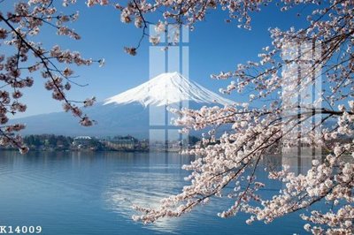 Download file File gốc in tranh tổng hợp K14009 (chất lượng in ấn)