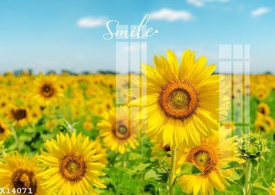 File tranh File gốc in tranh tổng hợp K14071 (ảnh gốc) cho in ấn kỹ thuật số