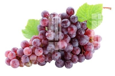 File in mica File gốc in tranh tổng hợp K14322 (bản gốc) siêu trong