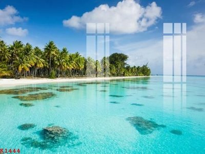 Tải file File gốc in tranh tổng hợp K1444 (gốc) làm file quảng cáo