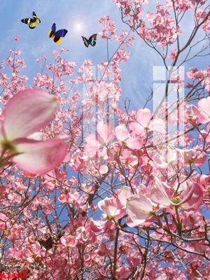 Download file gốc File gốc in tranh tổng hợp K1498 (dùng cho in ấn)