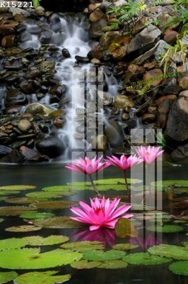 File gốc in mica File gốc in tranh tổng hợp K15221 chất lượng