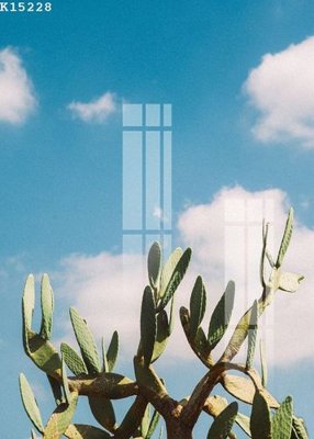 File tranh File gốc in tranh tổng hợp K15228 (ảnh gốc) sắc nét hoàn hảo