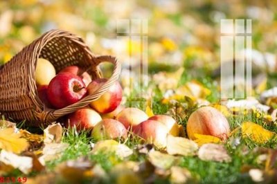 Tải file gốc File gốc in tranh tổng hợp K1549 (bản PSD) gốc