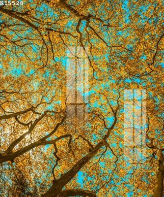 Tải file gốc File gốc in tranh tổng hợp K15528 (in khổ lớn) không vỡ