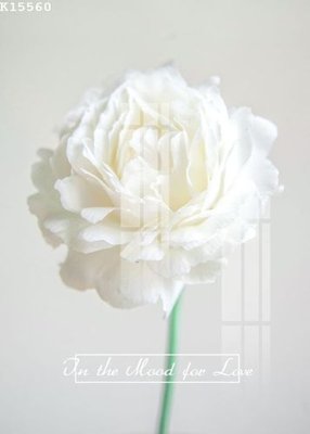 File in mica File gốc in tranh tổng hợp K15560 (bản gốc) làm vách ngăn