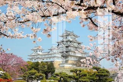 File in lụa File gốc in tranh tổng hợp K1565 (tân cổ điển) File gốc in tranh tổng hợp K1565