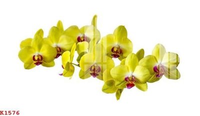 Tải file File gốc in tranh tổng hợp K1576 (gốc) in trên mọi chất liệu