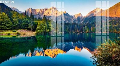 File in trần File gốc in tranh tổng hợp K15839 (file gốc) hoa văn 3D