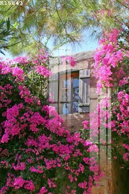 File tranh File gốc in tranh tổng hợp K15843 (bản gốc) treo phòng ăn