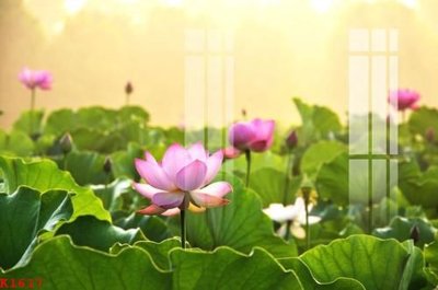 Tải file gốc File gốc in tranh tổng hợp K1617 (bản PSD) đầy đủ layer