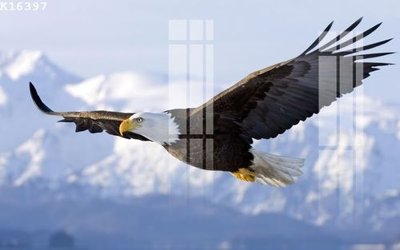 File tranh File gốc in tranh tổng hợp K16397 (ảnh gốc) độ nét vượt trội