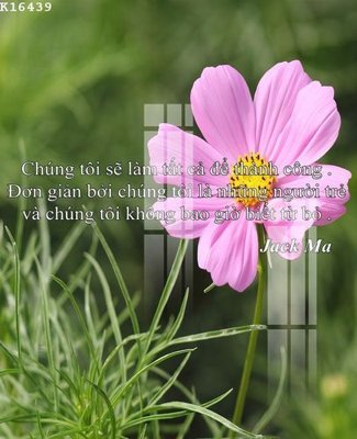 Ảnh gốc file in lụa File gốc in tranh tổng hợp K16439 chi tiết