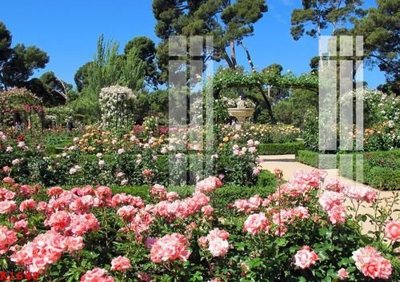 Tệp tin gốc File gốc in tranh tổng hợp K1648 (dùng cho in ấn) chuyên nghiệp