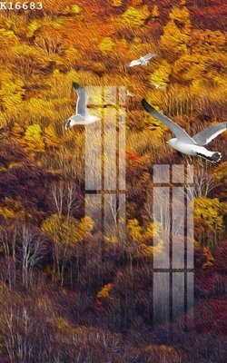 File tranh File gốc in tranh tổng hợp K16683 (ảnh gốc) in trần 3D