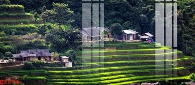 Ảnh gốc File gốc in tranh tổng hợp K1674 (độ nét cao) in mica