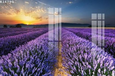 File tranh trang trí File gốc in tranh tổng hợp K16790 (file gốc)