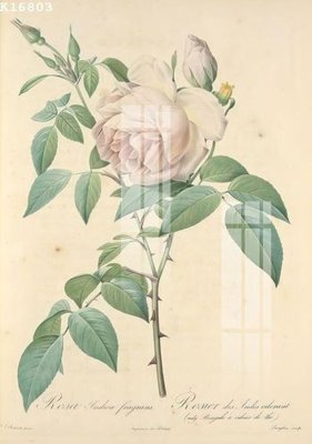 Tải file File gốc in tranh tổng hợp K16803 (gốc) in ấn ngay lập tức