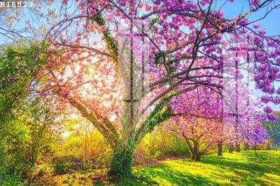 Ảnh gốc File gốc in tranh tổng hợp K16829 (độ nét cao) in mica