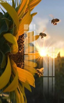 File gốc in ấn File gốc in tranh tổng hợp K16849 chất lượng vượt trội