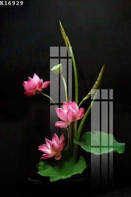 File in trần File gốc in tranh tổng hợp K16929 (bản gốc) trời sao