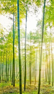 File ảnh File gốc in tranh tổng hợp K16979 (gốc) cho trang trí nội thất