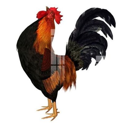 File in trần File gốc in tranh tổng hợp K17047 (file gốc) phong thủy