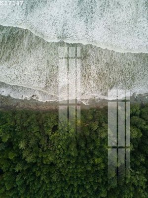 File gốc File gốc in tranh tổng hợp K17147 (in lụa) họa tiết 3D