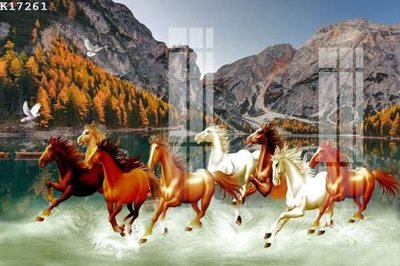 File in mica File gốc in tranh tổng hợp K17261 (bản gốc) siêu trong