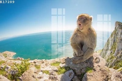 Download file gốc File gốc in tranh tổng hợp K17289 (in mica) trang trí