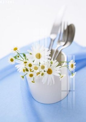 File tranh in mica File gốc in tranh tổng hợp K17341 (độ phân giải cao)