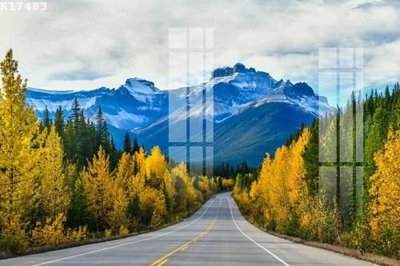 File PSD File gốc in tranh tổng hợp K17483 (gốc) tách lớp chi tiết