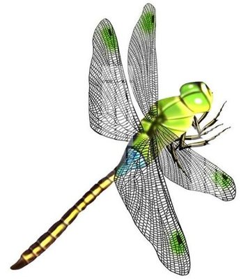 Tải file tranh File gốc in tranh tổng hợp K17581 (ảnh gốc) ngay