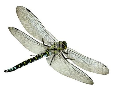 File gốc File gốc in tranh tổng hợp K17586 (ảnh chi tiết) để in ấn