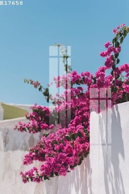 Download file File gốc in tranh tổng hợp K17658 (chất lượng in ấn)