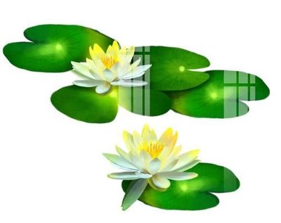 File tranh in trần 3D File gốc in tranh tổng hợp K17680 (ảnh gốc)