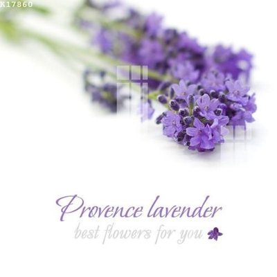 Tải file File gốc in tranh tổng hợp K17860 (ảnh gốc) file AI/EPS