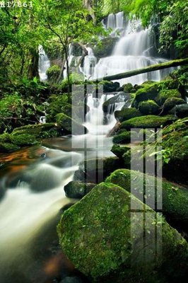 File tranh in trần File gốc in tranh tổng hợp K17861 (ảnh gốc siêu nét)