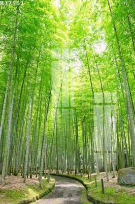 Chi tiết file tranh tráng gương File gốc in tranh tổng hợp K17951 (ảnh gốc)