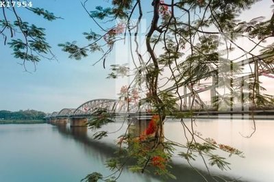 File gốc File gốc in tranh tổng hợp K17954 (in mica) cắt laser